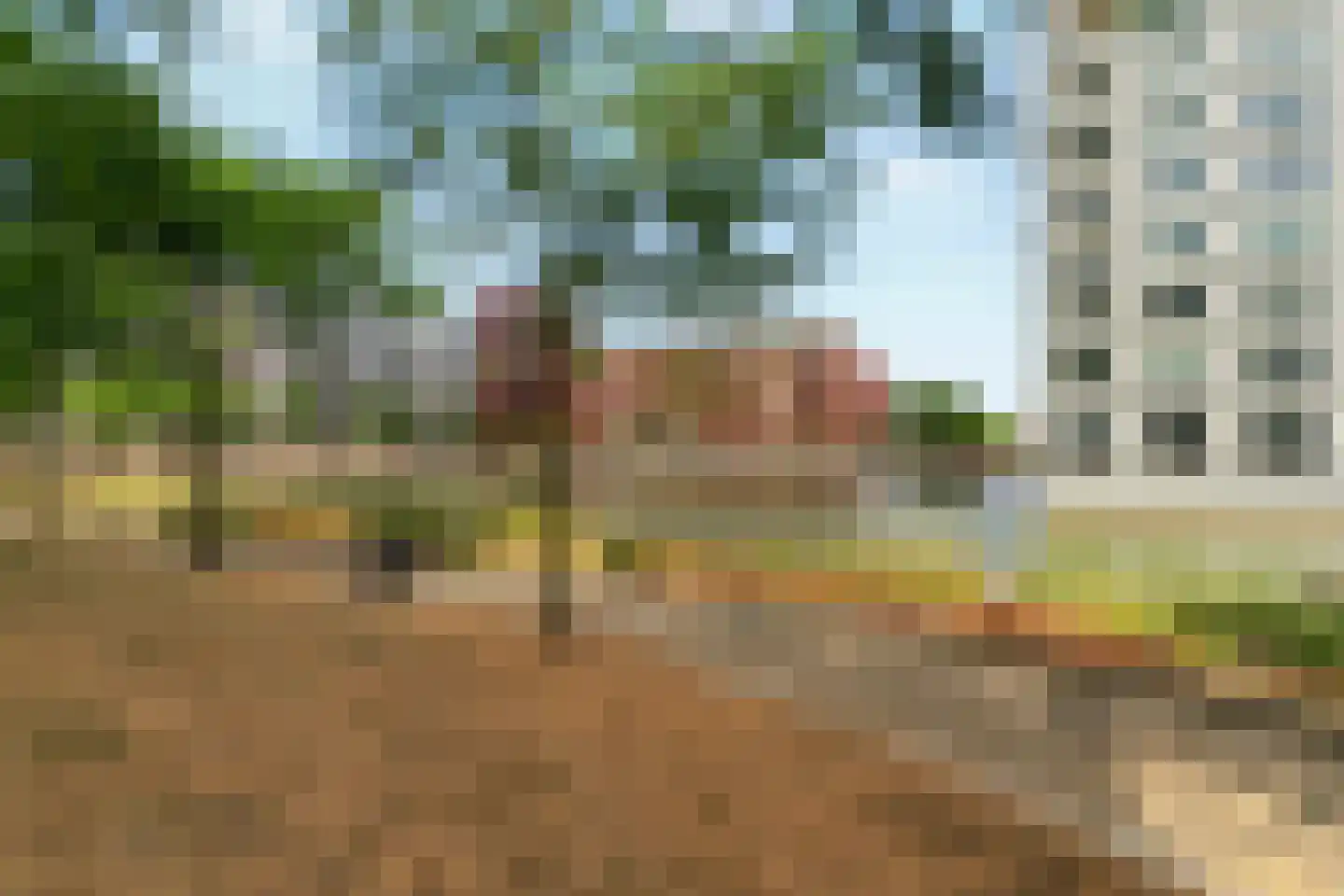 Kanseliersplein 162 's-Hertogenbosch thumbnail 43