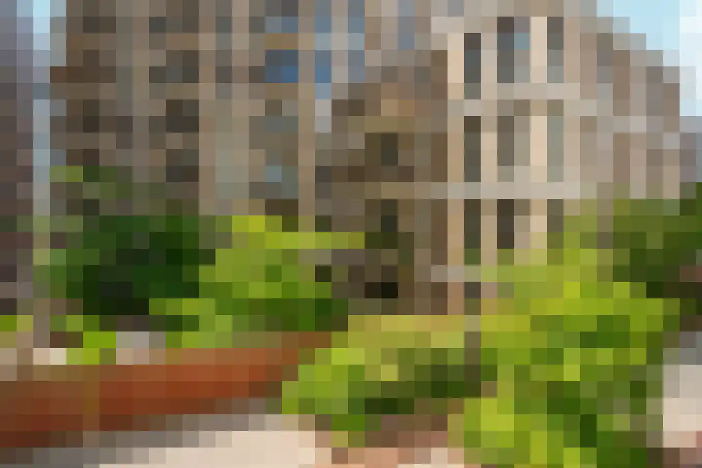Kanseliersplein 162 's-Hertogenbosch thumbnail 44