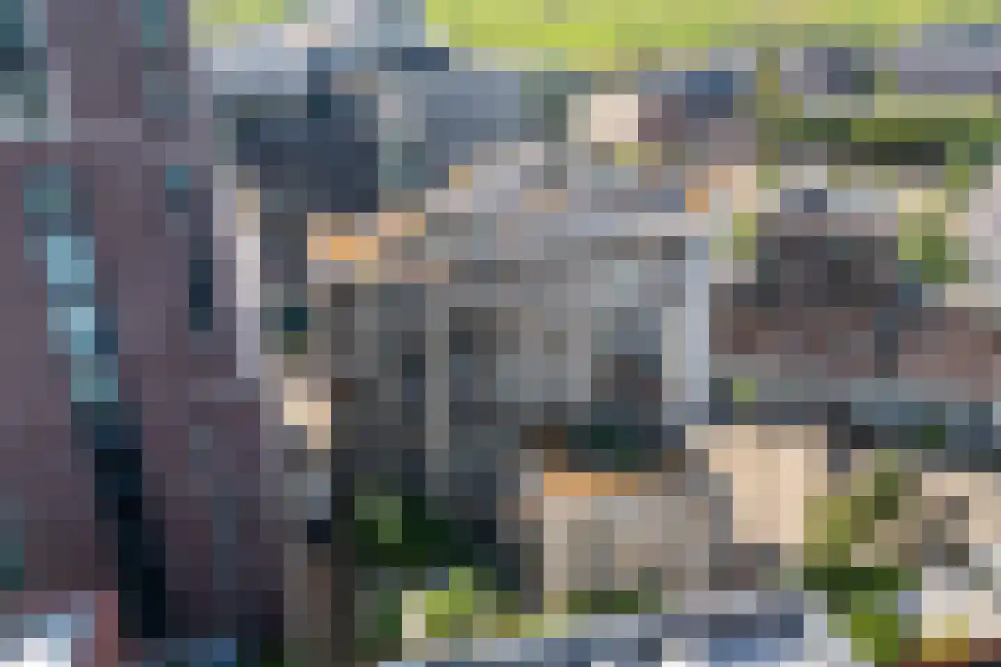 Kanseliersplein 162 's-Hertogenbosch thumbnail 47