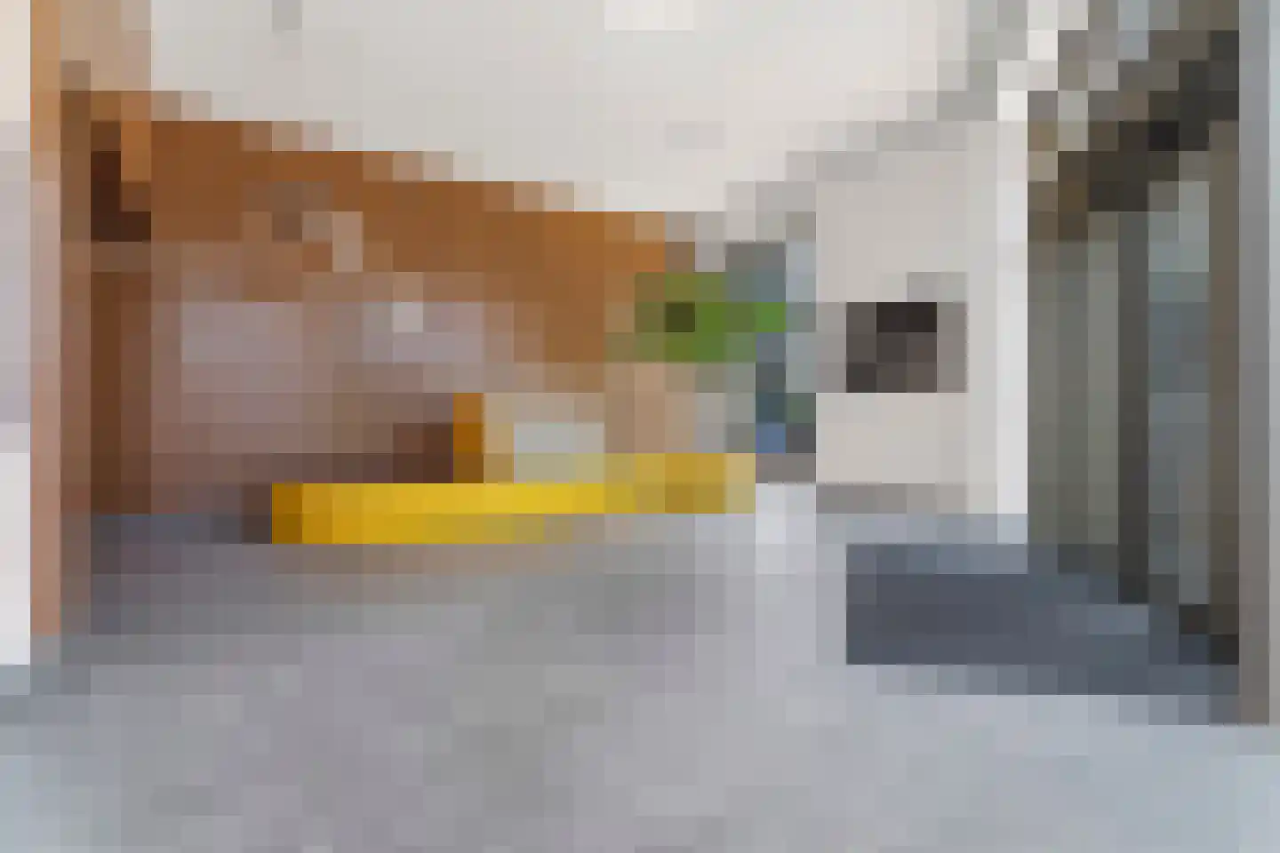 Kanseliersplein 162 's-Hertogenbosch thumbnail 8