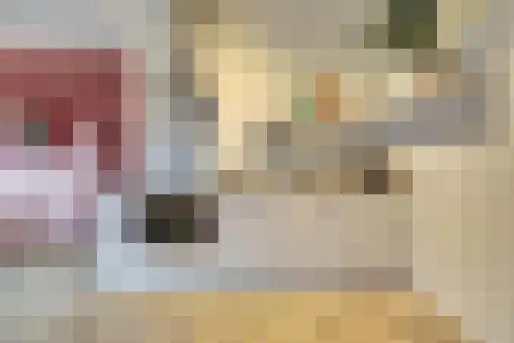 Kanseliersplein 172 's-Hertogenbosch thumbnail 12