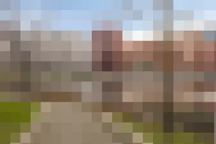 Kanseliersplein 173 's-Hertogenbosch thumbnail 28
