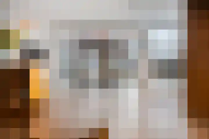 Kanseliersplein 173 's-Hertogenbosch thumbnail 4
