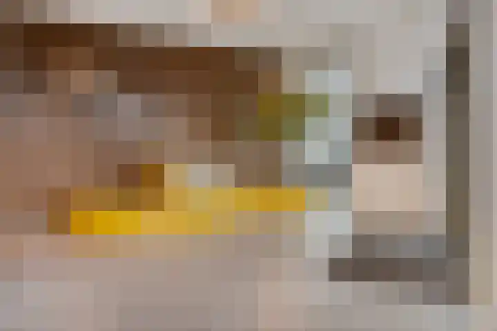 Kanseliersplein 173 's-Hertogenbosch thumbnail 5