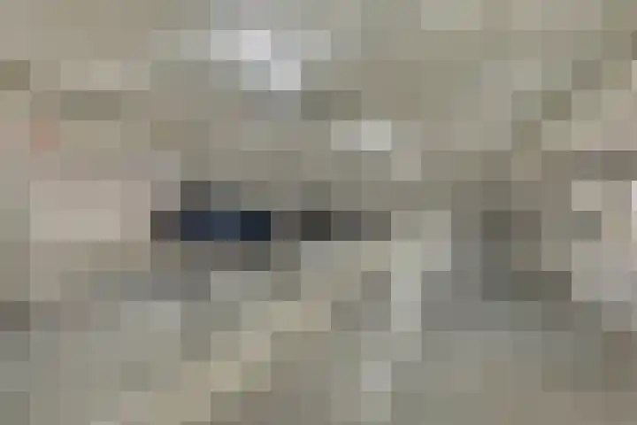 Kanseliersplein 181 's-Hertogenbosch thumbnail 17