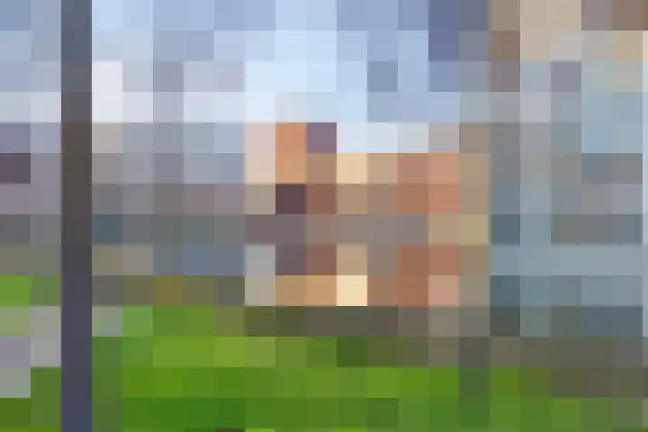 Kanseliersplein 181 's-Hertogenbosch thumbnail 22