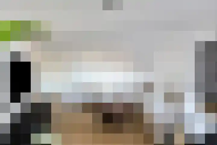 Kanseliersplein 181 's-Hertogenbosch thumbnail 6