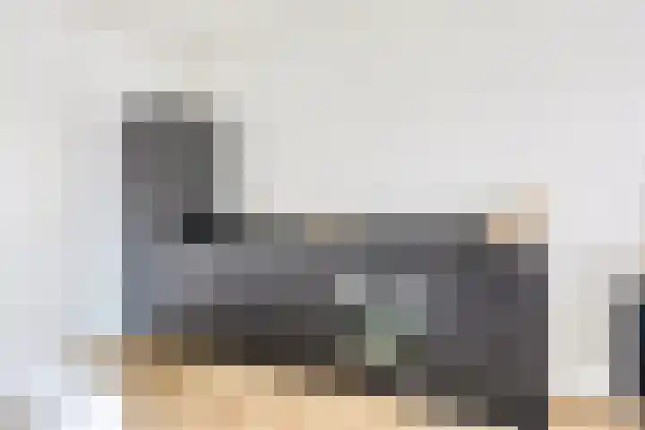 Kanseliersplein 181 's-Hertogenbosch thumbnail 7