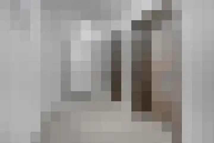 Kanseliersplein 183 's-Hertogenbosch thumbnail 11