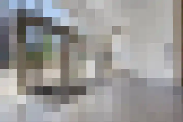Kanseliersplein 183 's-Hertogenbosch thumbnail 9