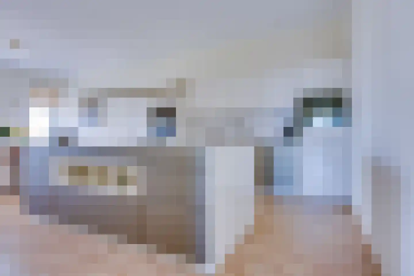 Kanseliersplein 184 's-Hertogenbosch thumbnail 31