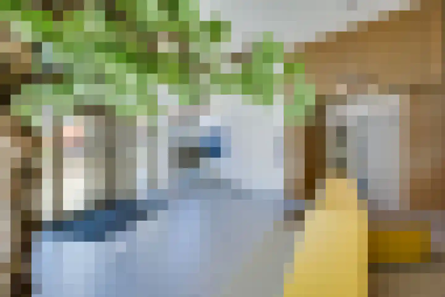 Kanseliersplein 184 's-Hertogenbosch thumbnail 5