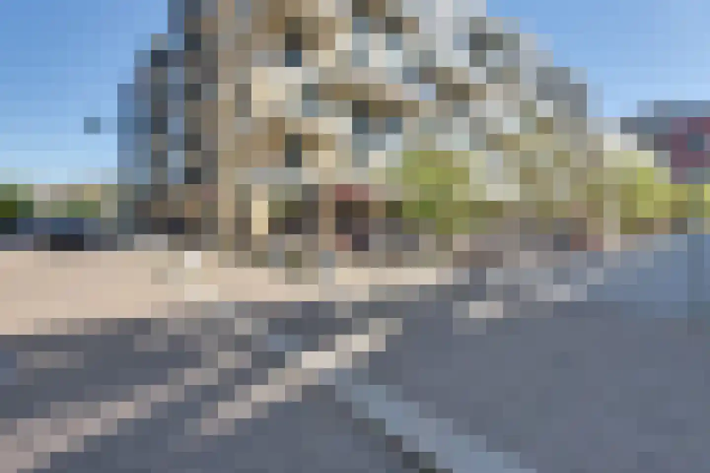 Kanseliersplein 184 's-Hertogenbosch thumbnail 70