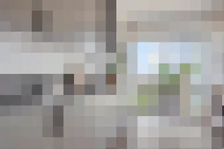 Kanseliersplein 192 's-Hertogenbosch thumbnail 10