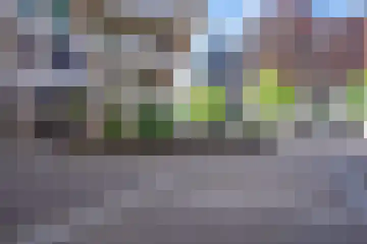Kanseliersplein 192 's-Hertogenbosch thumbnail 30