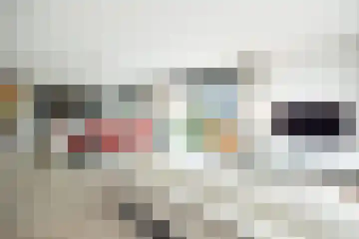 Kanseliersplein 45 's-Hertogenbosch thumbnail 11