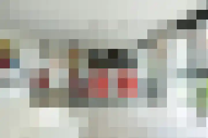 Kanseliersplein 45 's-Hertogenbosch thumbnail 13