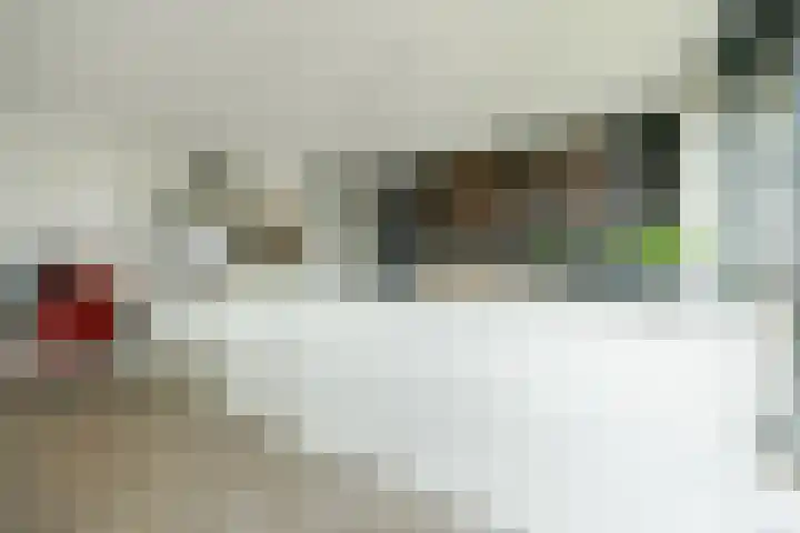 Kanseliersplein 45 's-Hertogenbosch thumbnail 18