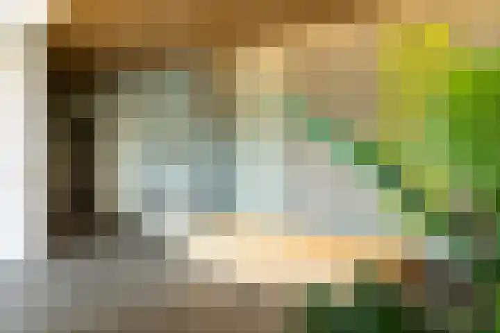 Kanseliersplein 45 's-Hertogenbosch thumbnail 26