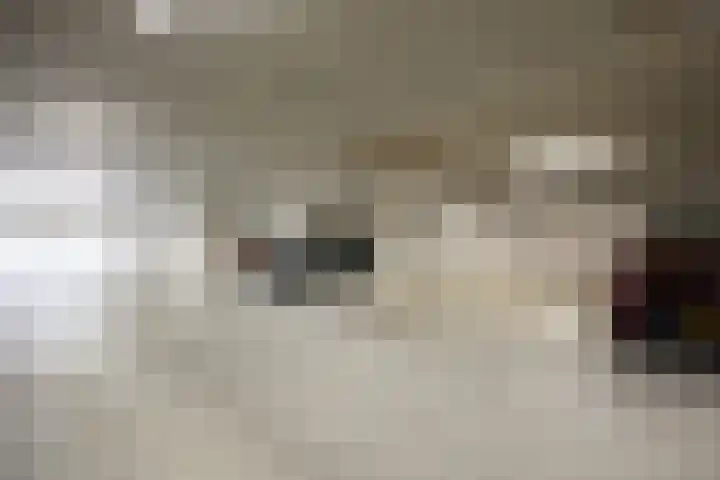 Kanseliersplein 45 's-Hertogenbosch thumbnail 27