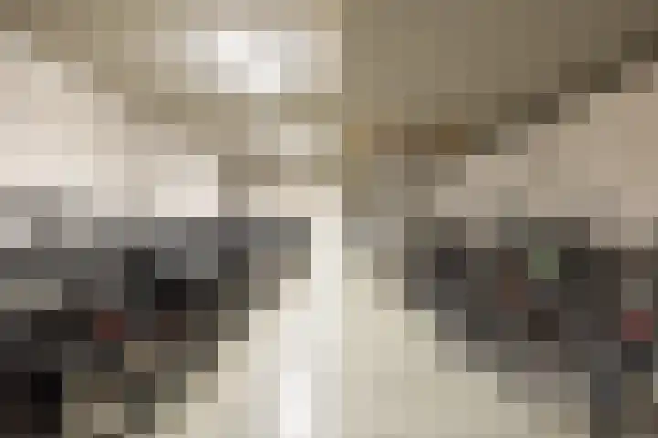 Kanseliersplein 45 's-Hertogenbosch thumbnail 28