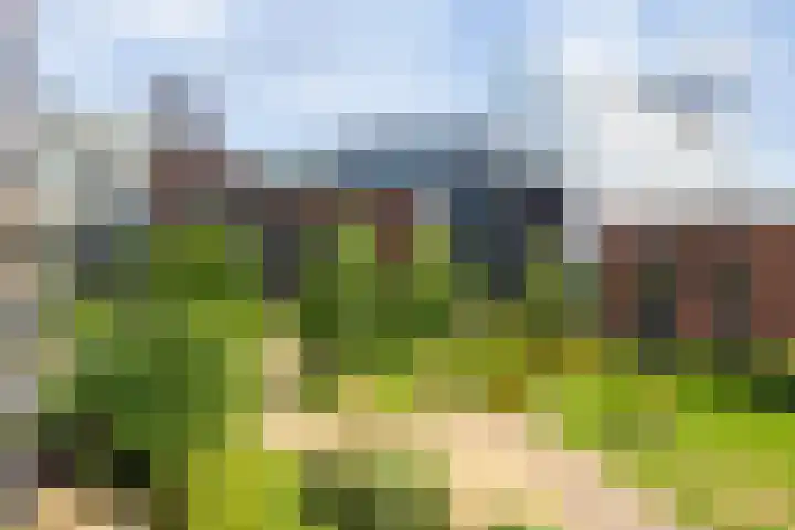 Kanseliersplein 45 's-Hertogenbosch thumbnail 30
