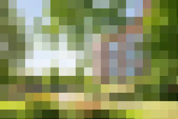 Kanseliersplein 45 's-Hertogenbosch thumbnail 31