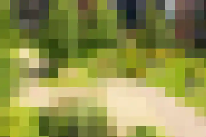 Kanseliersplein 45 's-Hertogenbosch thumbnail 34