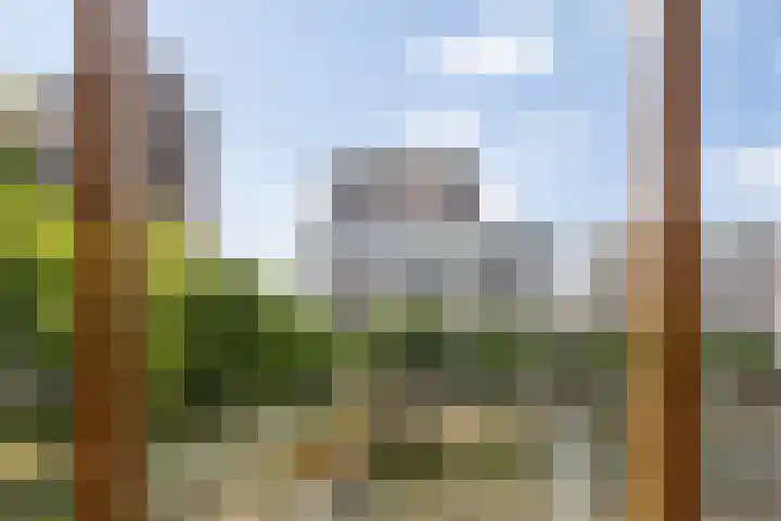 Kanseliersplein 45 's-Hertogenbosch thumbnail 43