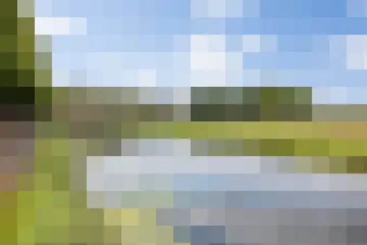 Kanseliersplein 45 's-Hertogenbosch thumbnail 48