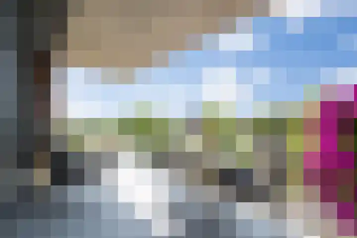 Kanseliersplein 45 's-Hertogenbosch thumbnail 6
