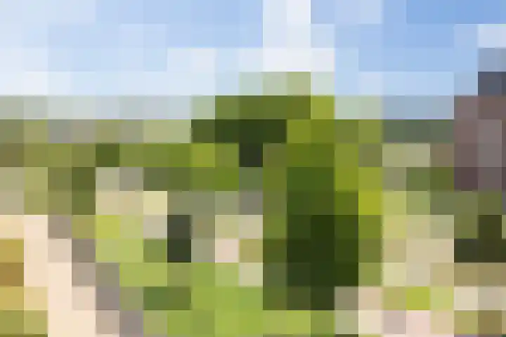 Kanseliersplein 45 's-Hertogenbosch thumbnail 7