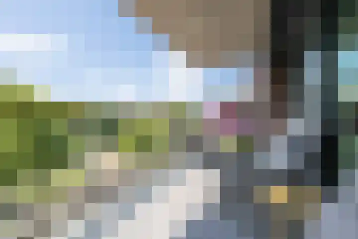 Kanseliersplein 45 's-Hertogenbosch thumbnail 8