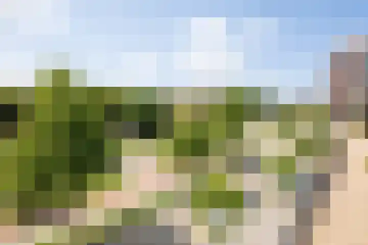 Kanseliersplein 45 's-Hertogenbosch thumbnail 9