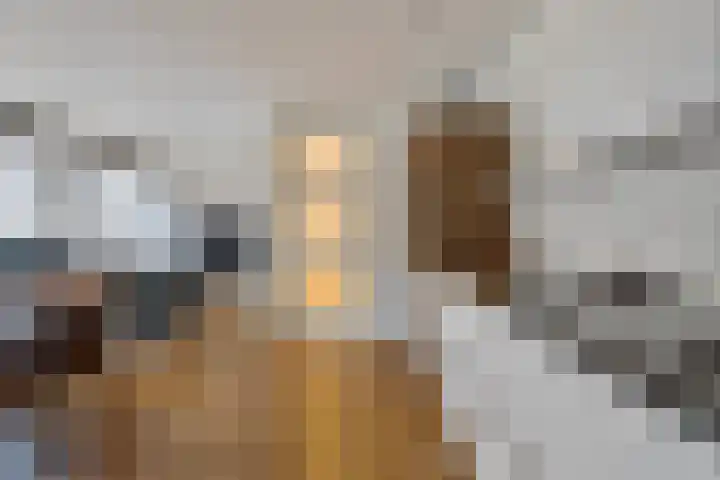 Kanseliersplein 75 's-Hertogenbosch thumbnail 20