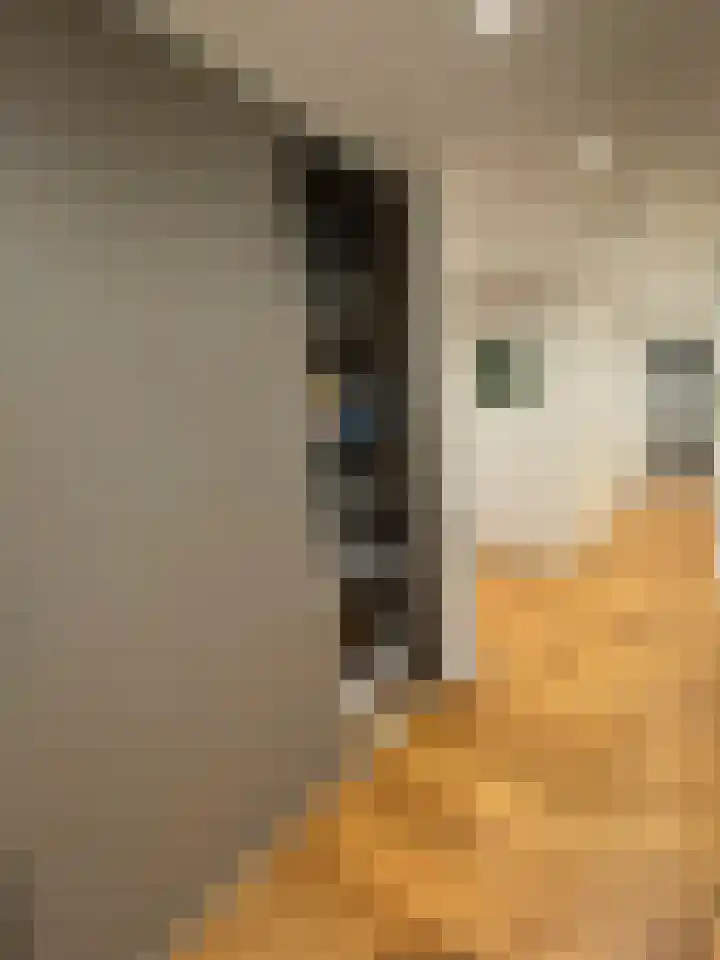 Kanseliersplein 75 's-Hertogenbosch thumbnail 32