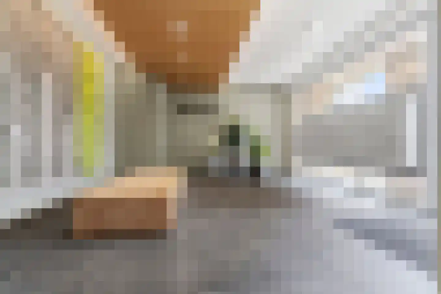 Kanseliersplein 75 's-Hertogenbosch thumbnail 32