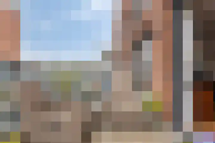 Kanseliersplein 75 's-Hertogenbosch thumbnail 35