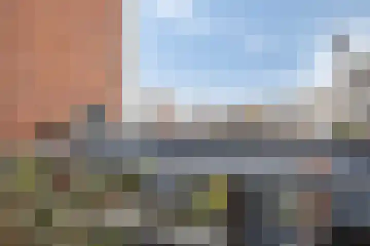 Kanseliersplein 75 's-Hertogenbosch thumbnail 36