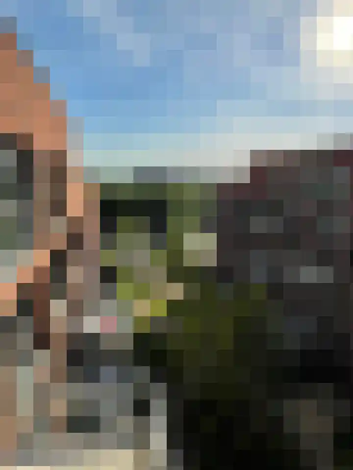 Kanseliersplein 75 's-Hertogenbosch thumbnail 37
