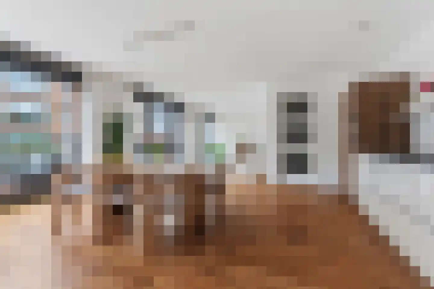 Kanseliersplein 75 's-Hertogenbosch thumbnail 4