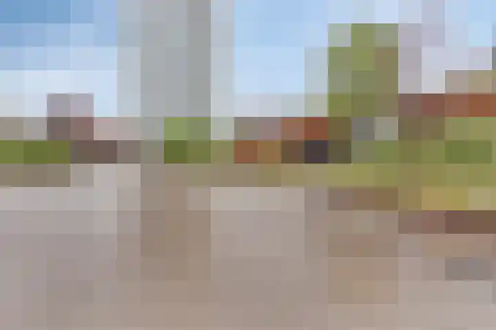 Kanseliersplein 75 's-Hertogenbosch thumbnail 41