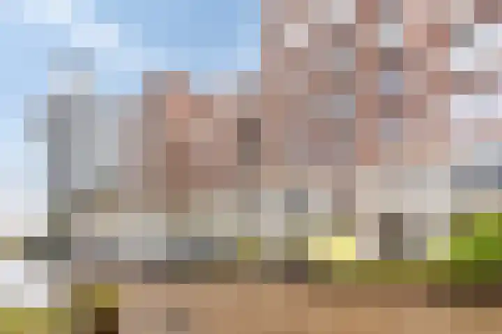 Kanseliersplein 75 's-Hertogenbosch thumbnail 5