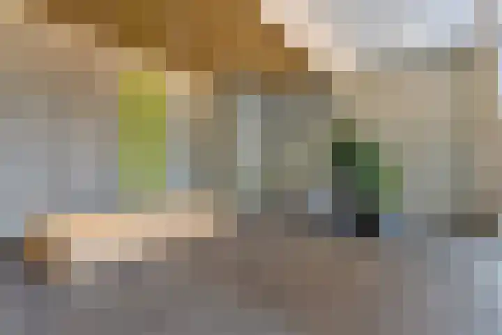 Kanseliersplein 75 's-Hertogenbosch thumbnail 6