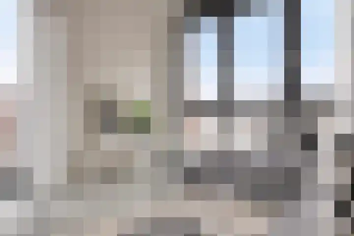 Kanseliersplein 79 's-Hertogenbosch thumbnail 17