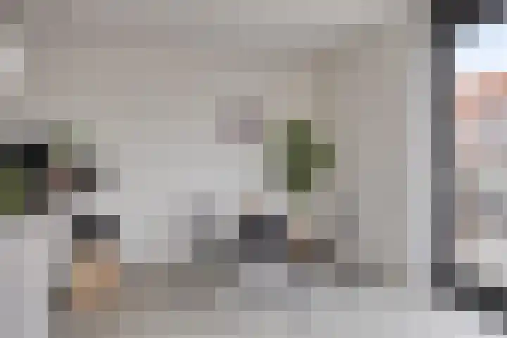 Kanseliersplein 79 's-Hertogenbosch thumbnail 19