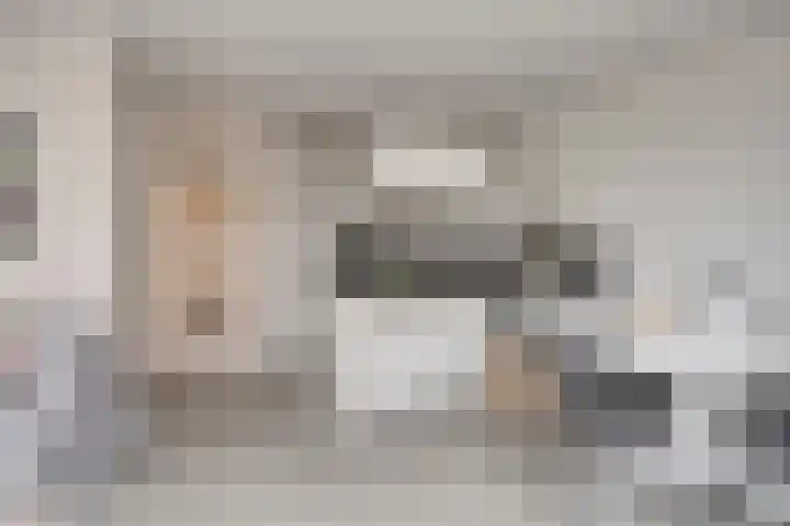 Kanseliersplein 79 's-Hertogenbosch thumbnail 20