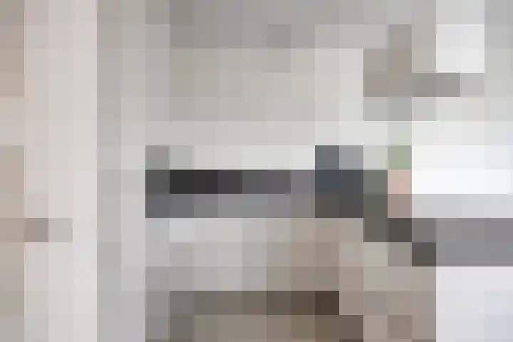 Kanseliersplein 79 's-Hertogenbosch thumbnail 23