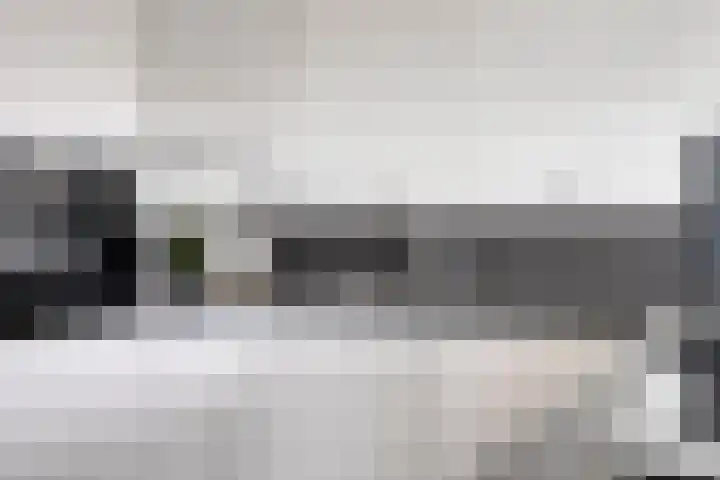 Kanseliersplein 79 's-Hertogenbosch thumbnail 24