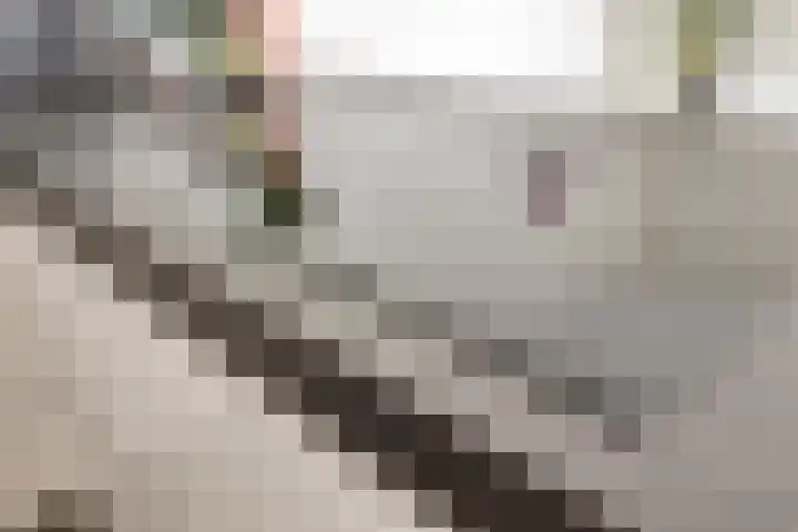 Kanseliersplein 79 's-Hertogenbosch thumbnail 25